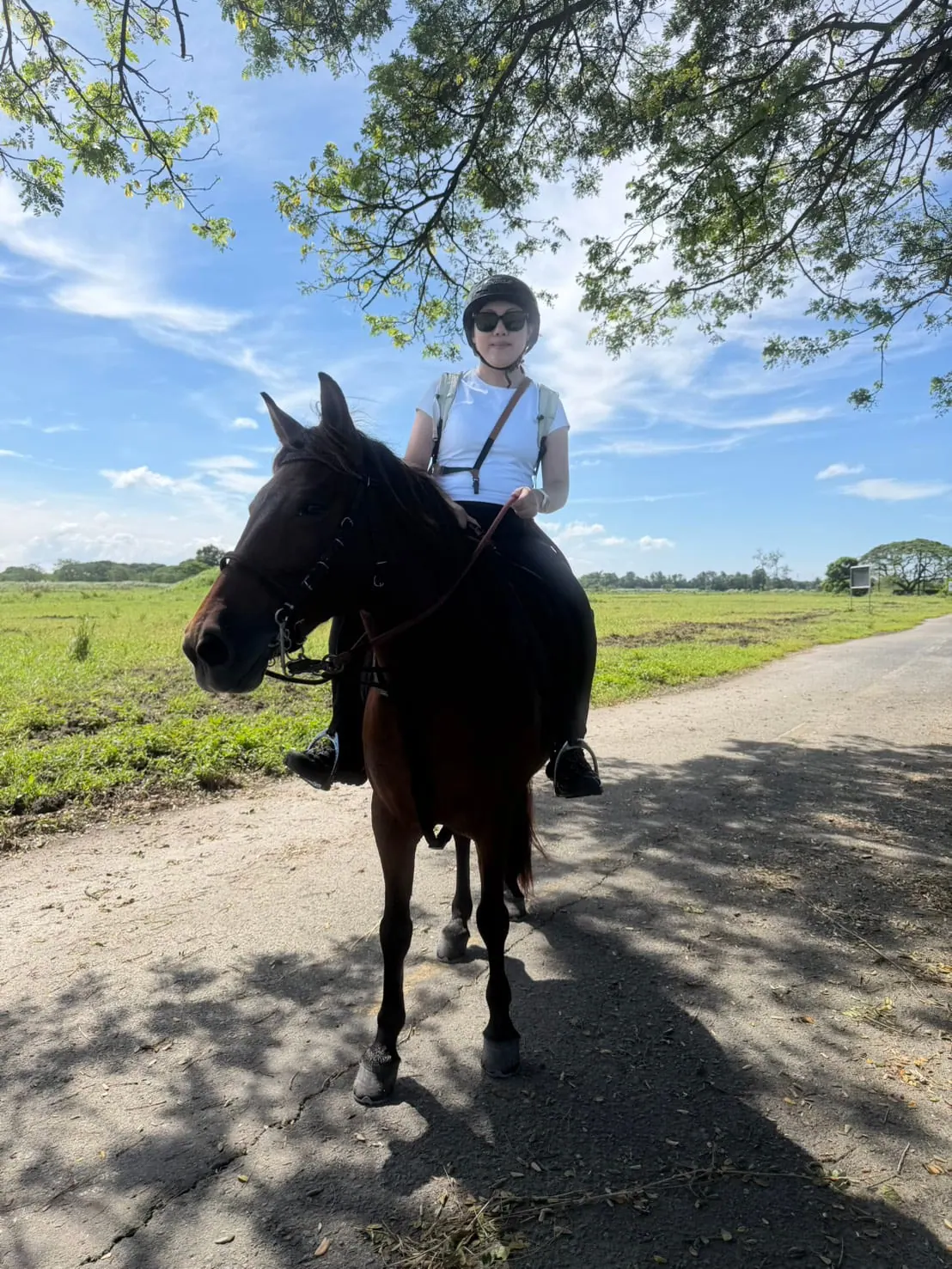 Una salida a caballo